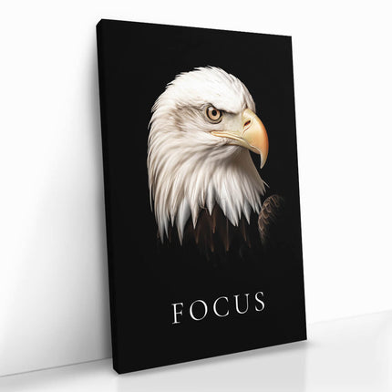 "Focus"