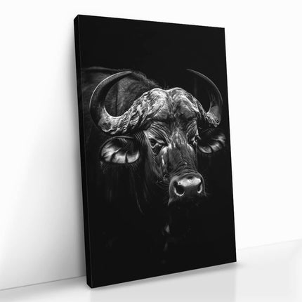 "Gaze of Resilience"