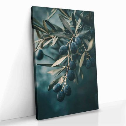 "Olive Tree Closeup"