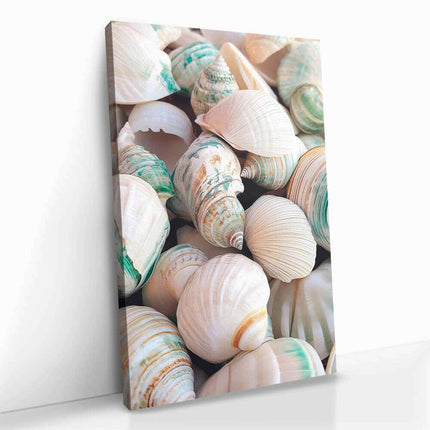 "Sea Shell"