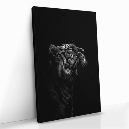 "Stripes of Authority"