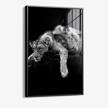 Lion Love – Glass