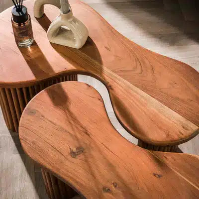 Coffee Table set/2 Fuse