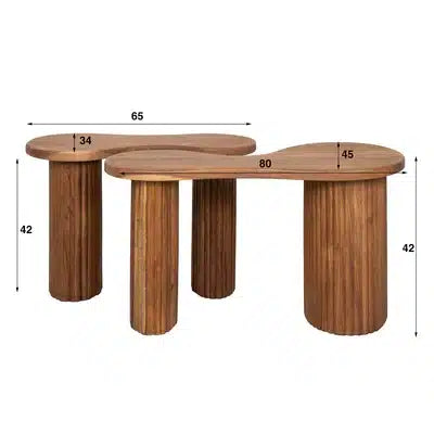 Coffee Table set/2 Fuse