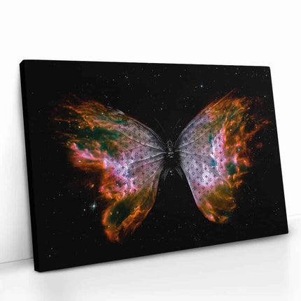 "Universe Butterfly"