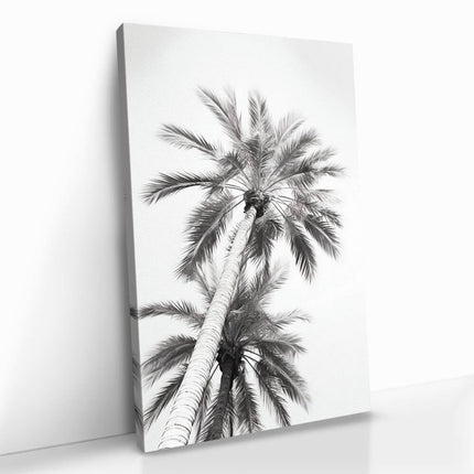 "Under The Palm Trees"