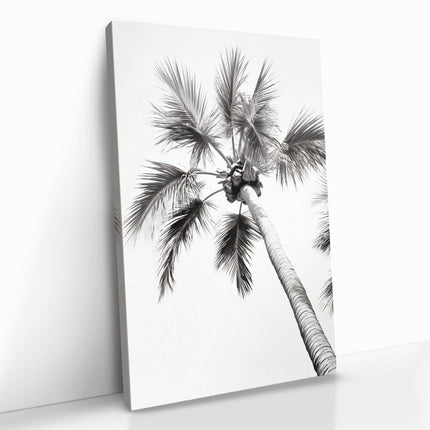 "Beachy Palm"