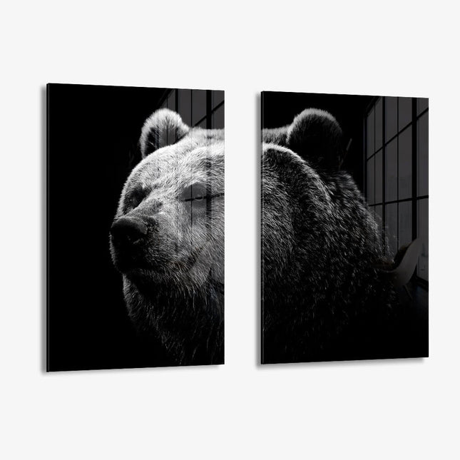 Bundle: "Big Bear" (2x) – Glass