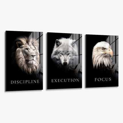 Bundle: "Apex" (3x) – Glass