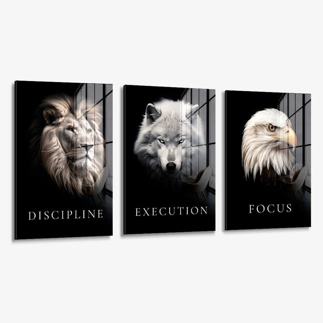 Bundle: "Apex" (3x) – Glass