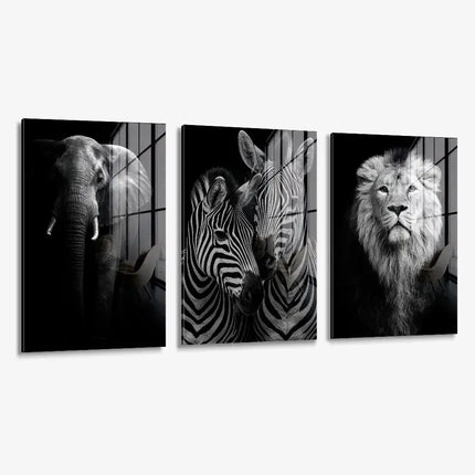 Bundle: "Safari" (3x) – Glass