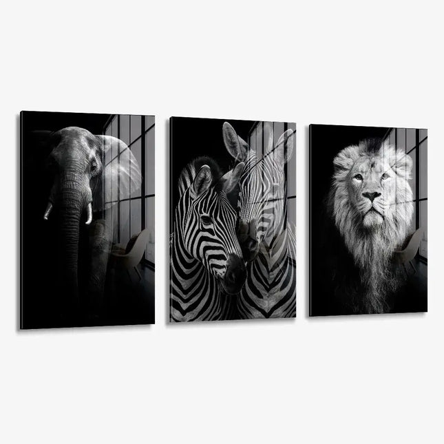 Bundle: "Safari" (3x) – Glass
