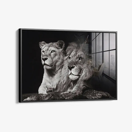 Lion Couple – Glass