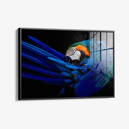 The Parrot – Glass