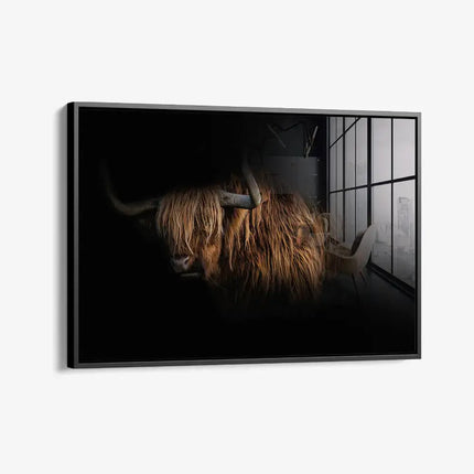 Highlander – Glass