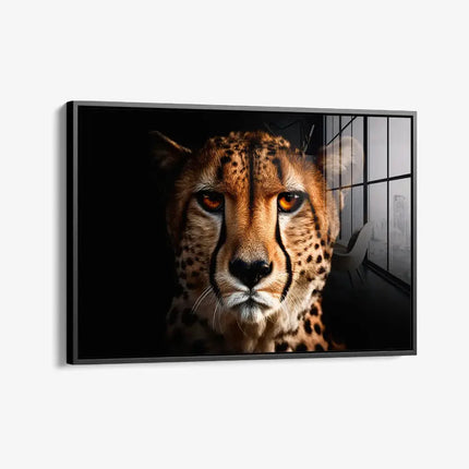 The Cheetah – Glass