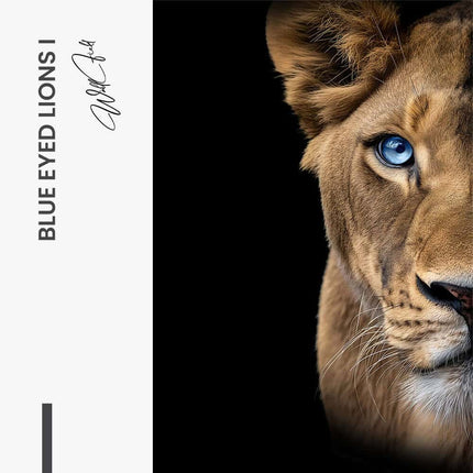 Bundle: "Blue Eyed Lions" (2x) – Glass