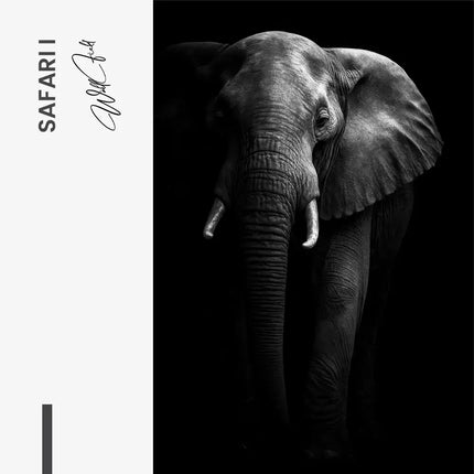 Bundle: "Safari" (3x) – Glass