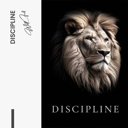 Discipline – Glass