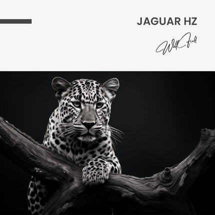 "Jaguar HZ"