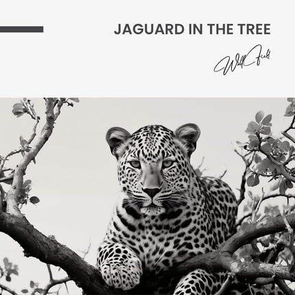 "Jaguard In The Tree"