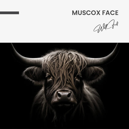 Muscox Face – Glass