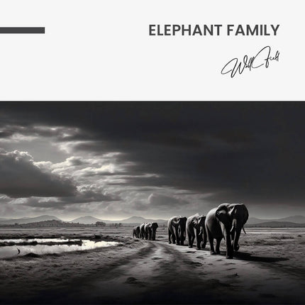 "Elephant Family"