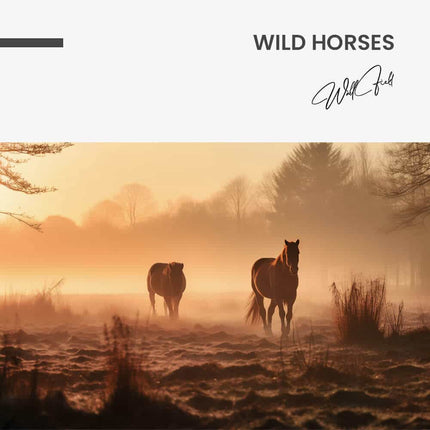 Wild Horses – Glass