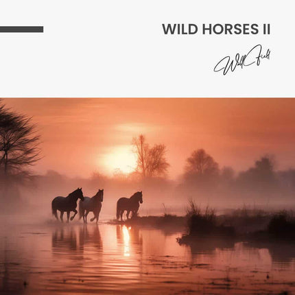 "Wild Horses II"