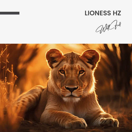 Lioness HZ – Glass