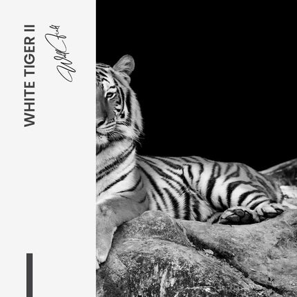 Bundle: "White Tiger" (2x) – Glass