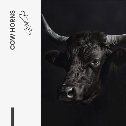 "Cow Horns"