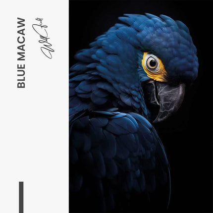 Blue Macaw – Glass