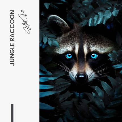 "Jungle Raccoon"