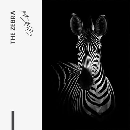 "The Zebra"