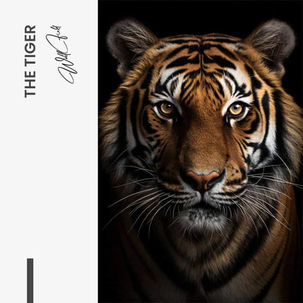 The Tiger – Glass