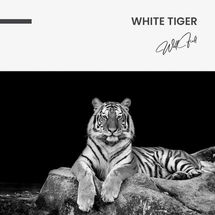 White Tiger – Glass