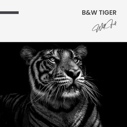 B&W Tiger – Glass