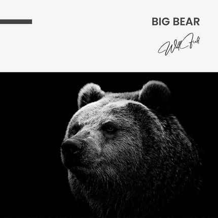 Big Bear – Glass
