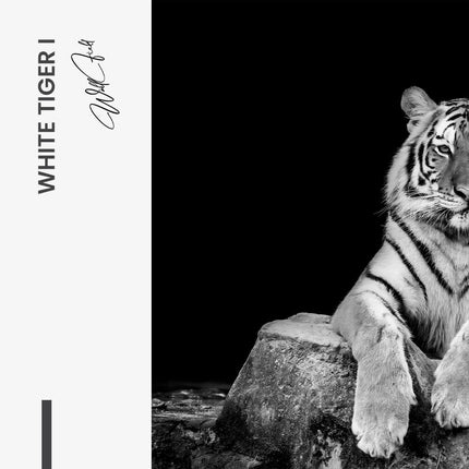 Bundle: "White Tiger" (2x)