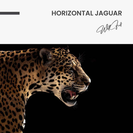 "Horizontal Jaguar"