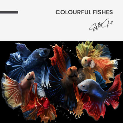 Colourful Fishes – Glass