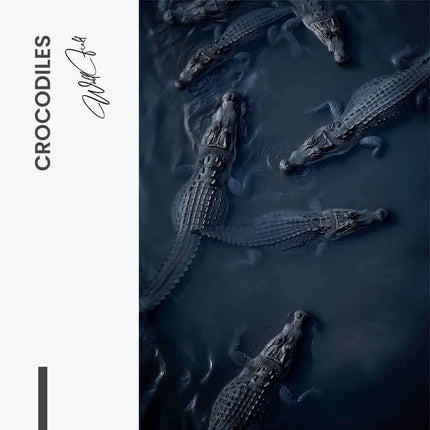 Crocodiles – Glass