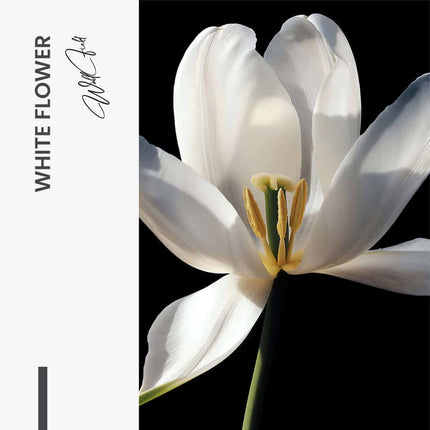 "White Flower"