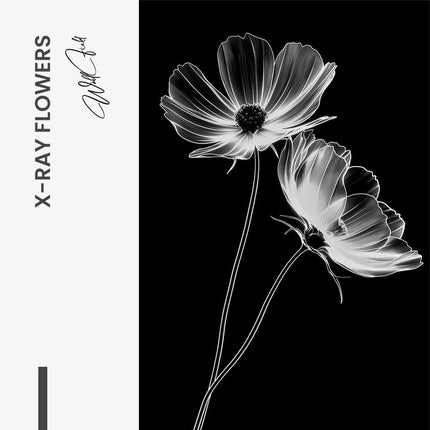 X-Ray Flowers – Glass