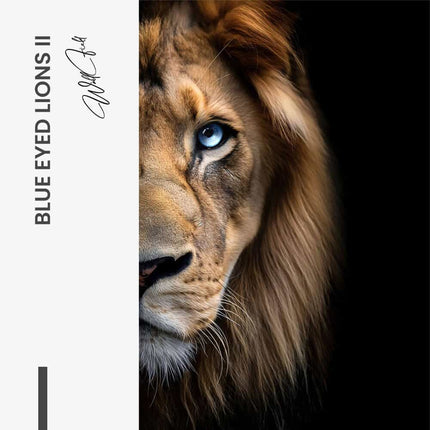 Bundle: "Blue Eyed Lions" (2x) – Glass