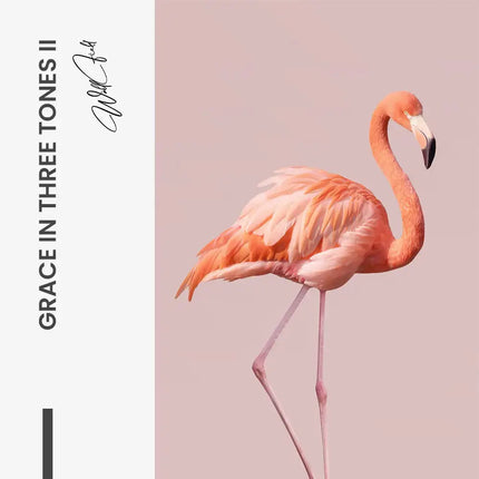 Bundle: "Grace in Three Tones" (3x)