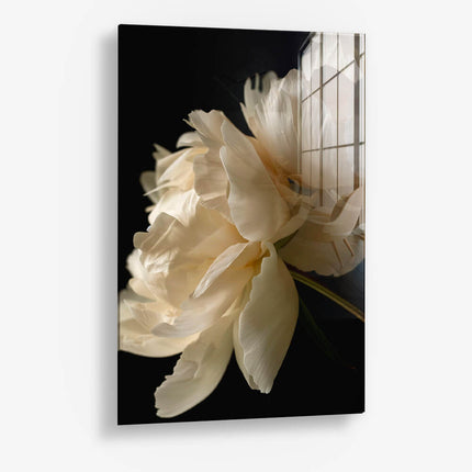 Pastel Flower – Glass