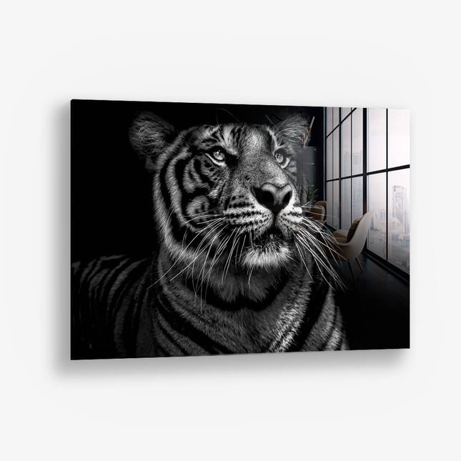 B&W Tiger – Glass