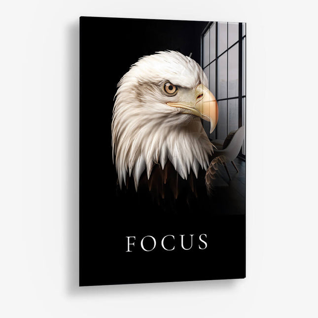 Focus – Glass